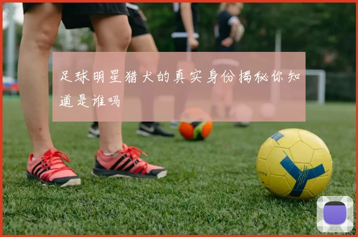 足球明星猎犬的真实身份揭秘你知道是谁吗