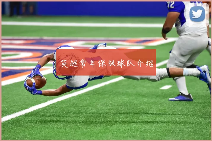 英超常年保级球队介绍