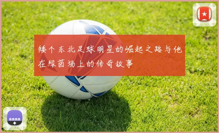 矮个东北足球明星的崛起之路与他在绿茵场上的传奇故事