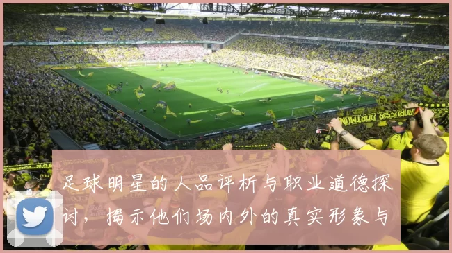 足球明星的人品评析与职业道德探讨，揭示他们场内外的真实形象与影响力