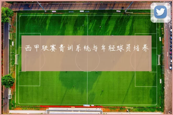 西甲联赛青训系统与年轻球员培养
