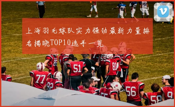 上海羽毛球队实力强劲最新力量排名揭晓TOP10选手一览