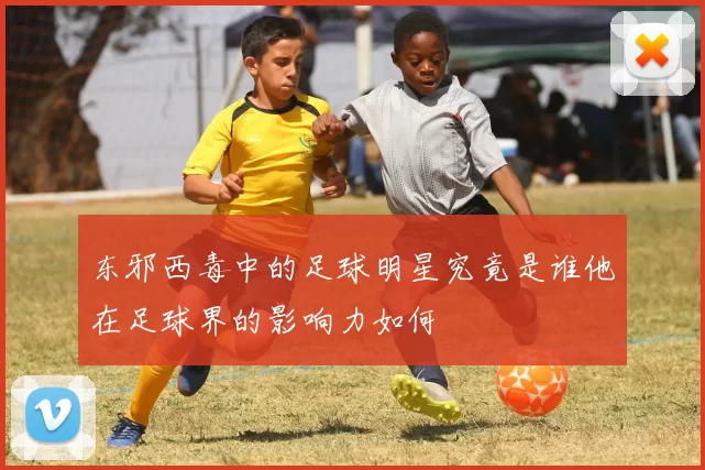 东邪西毒中的足球明星究竟是谁他在足球界的影响力如何