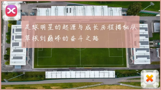 足球明星的起源与成长历程揭秘从草根到巅峰的奋斗之路