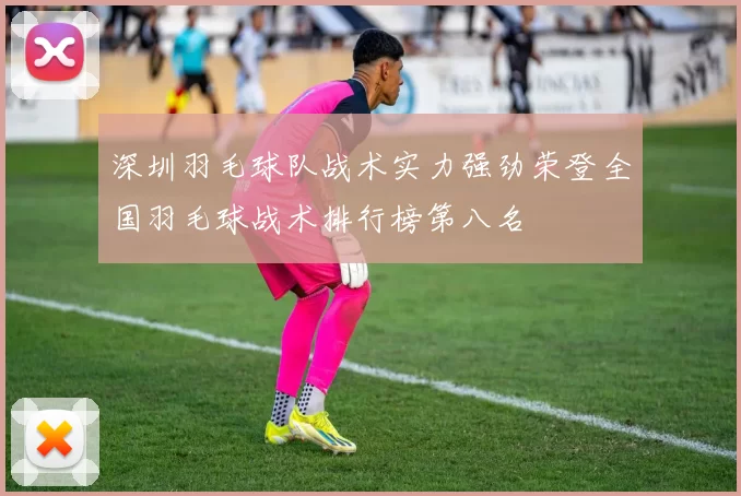 深圳羽毛球队战术实力强劲荣登全国羽毛球战术排行榜第八名