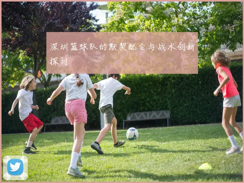 深圳篮球队的默契配合与战术创新探讨