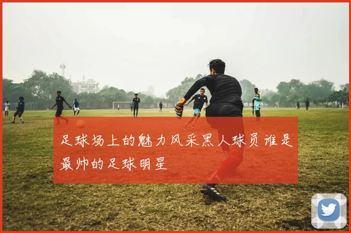 足球场上的魅力风采黑人球员谁是最帅的足球明星