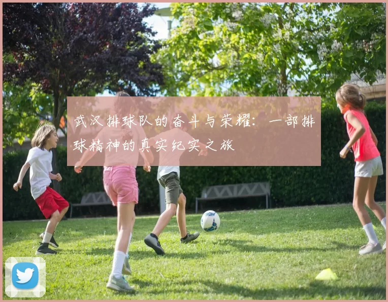 武汉排球队的奋斗与荣耀：一部排球精神的真实纪实之旅