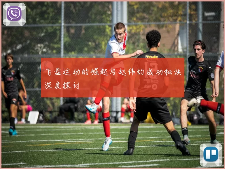 飞盘运动的崛起与赵伟的成功秘诀深度探讨