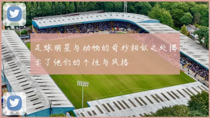 足球明星与动物的奇妙相似之处揭示了他们的个性与风格