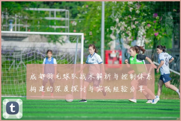 成都羽毛球队战术解析与控制体系构建的深度探讨与实践经验分享