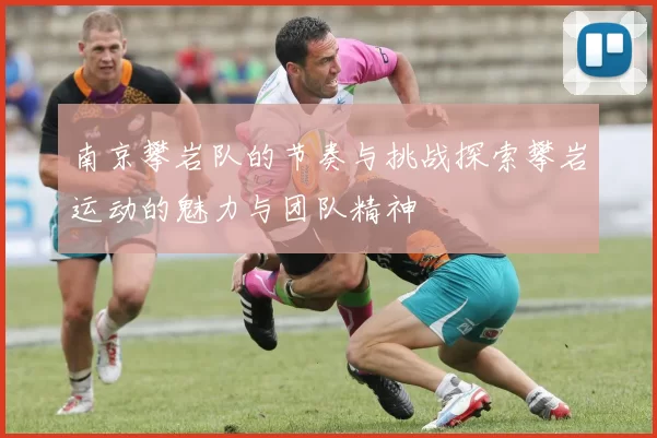 南京攀岩队的节奏与挑战探索攀岩运动的魅力与团队精神