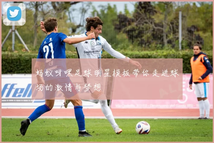 蚂蚁呀嘿足球明星模板带你走进球场的激情与梦想
