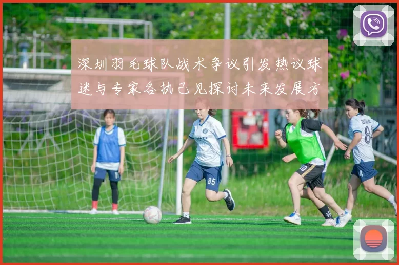 深圳羽毛球队战术争议引发热议球迷与专家各执己见探讨未来发展方向