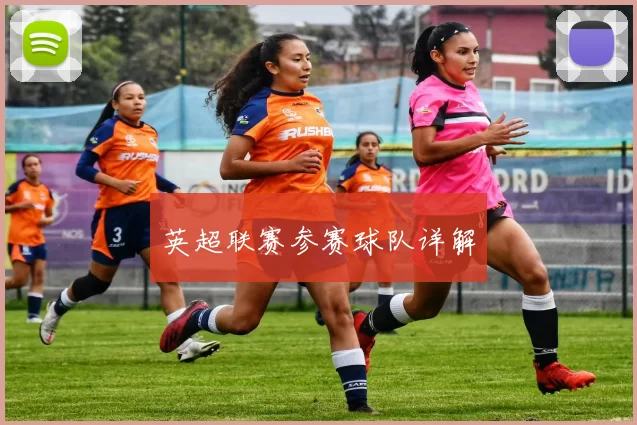 英超联赛参赛球队详解
