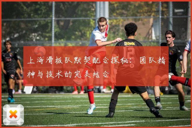 上海滑板队默契配合探秘：团队精神与技术的完美结合