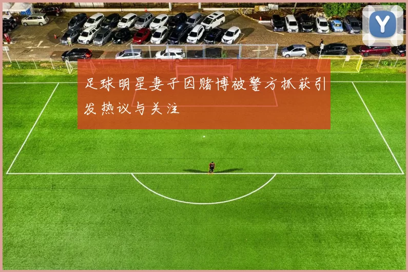 足球明星妻子因赌博被警方抓获引发热议与关注