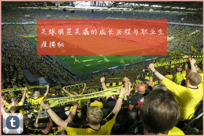 足球明星吴磊的成长历程与职业生涯揭秘