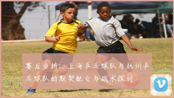 赛后分析：上海乒乓球队与杭州乒乓球队的默契配合与战术探讨