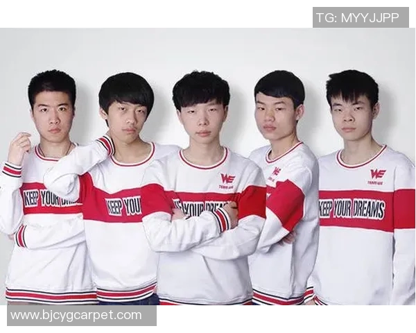 王者荣耀深度分析:探索WE战队在战术灵活性上的独特优势与表现