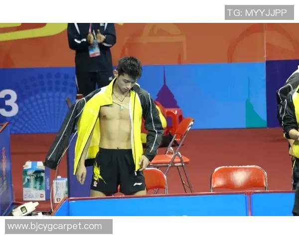 张继科引领国乒再飞跃