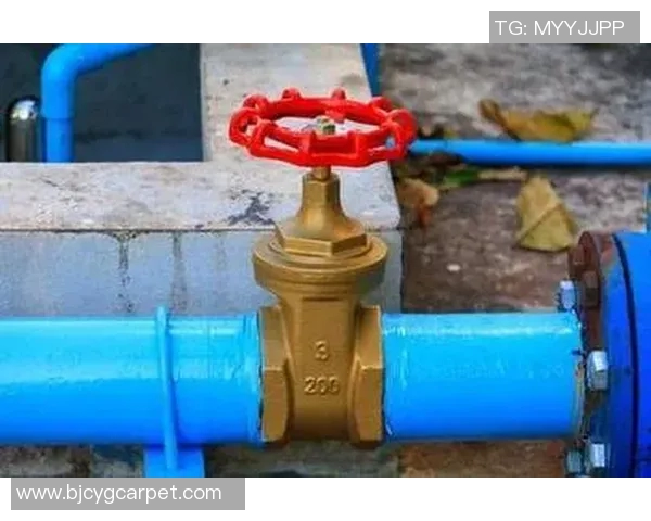 水管阀门的选购与安装指南解析及常见问题解决方案
